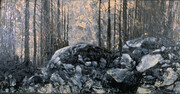 Carle Hessay 1974 Shimmering Rocks and Forest